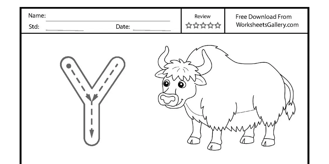 An educational worksheet for tracing the uppercase Letter Y, featuring a large guide letter with directional arrows and a detailed line drawing of a furry yak. close-up