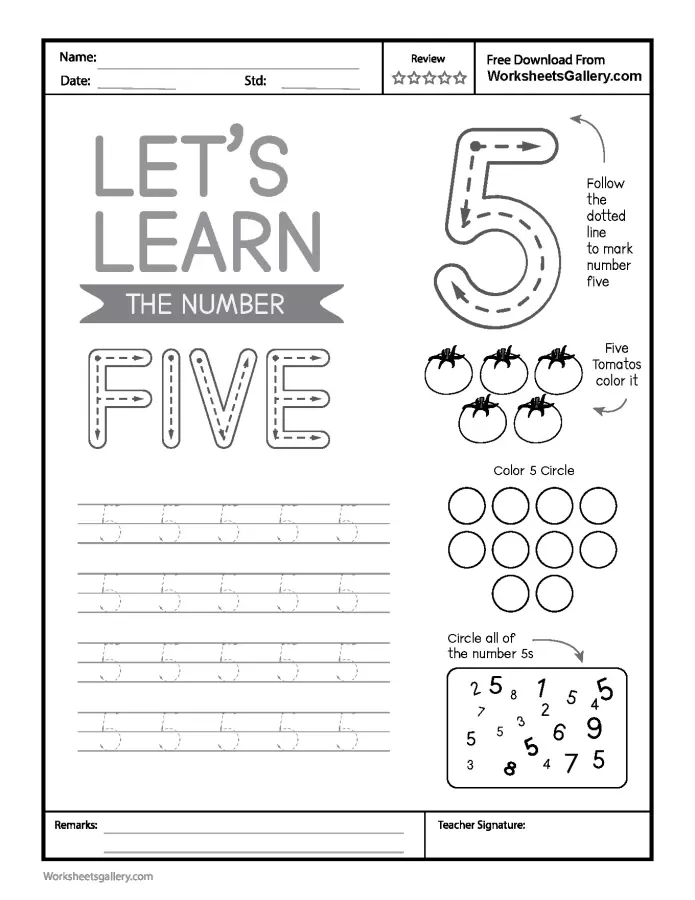 8 Fantastic Steps for Number 5 Tracing: Early Math Mastery