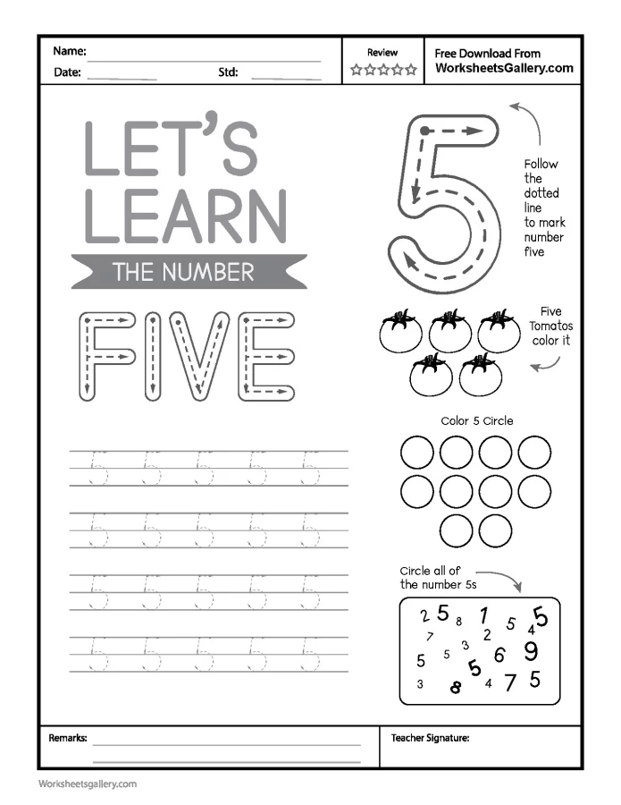 8 Fantastic Steps for Number 5 Tracing: Early Math Mastery