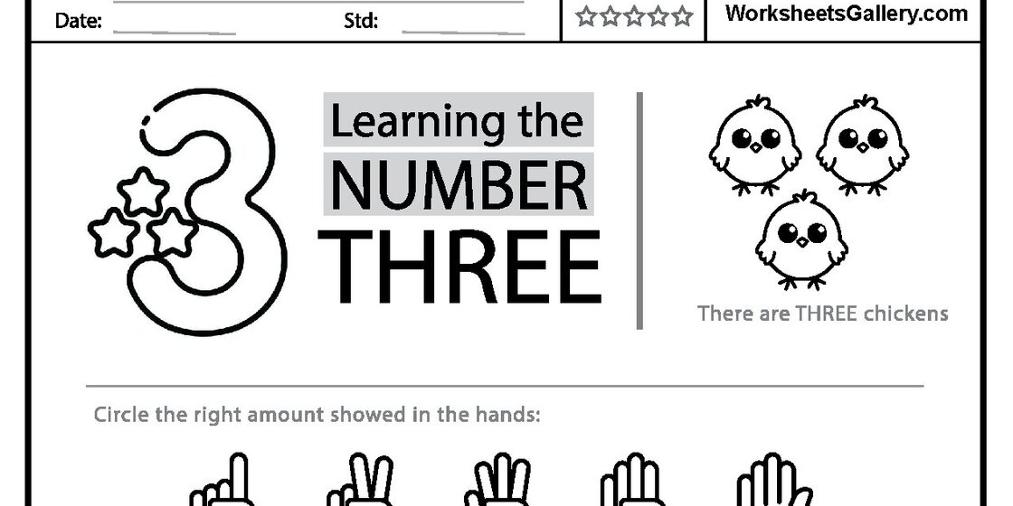 Worksheet page for learning the number three, featuring a large number 3 with stars, the text 'Learning the NUMBER THREE', three cartoon chickens, and a prompt to circle the correct number o
