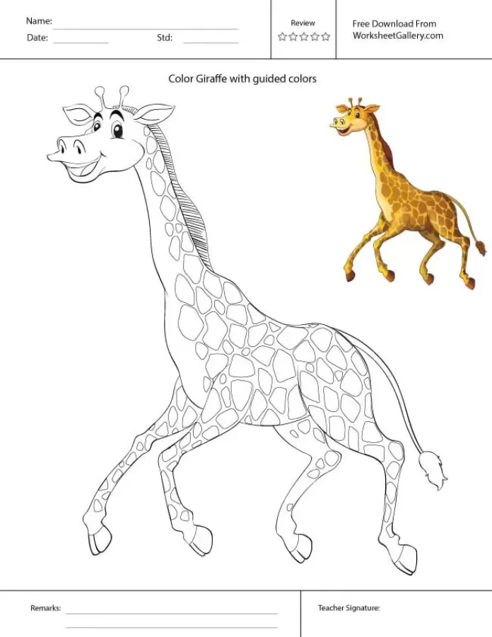 1 Amazing Giraffe Coloring Worksheet with Guided Colors for Kids