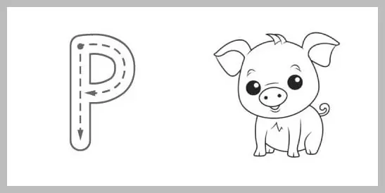 An educational graphic featuring a large uppercase letter P with directional arrows for tracing, alongside a cute black-and-white cartoon pig illustration.