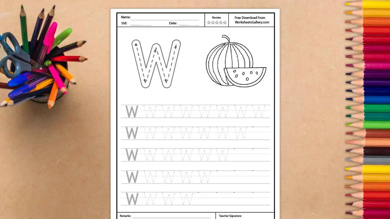 An educational tracing worksheet for the uppercase letter W, featuring a large guide letter with directional arrows and a line art drawing of a whole watermelon with a sliced wedge.