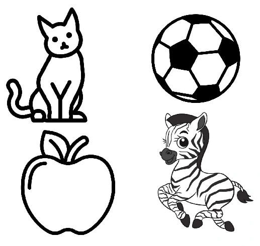 Worksheet picture choices showing a cat, soccer ball, apple and zebra