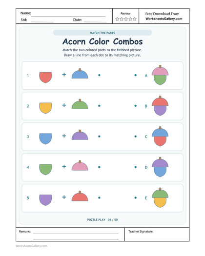 Acorn Colour Matching: 5 Brilliant Cap-and-Base Clues