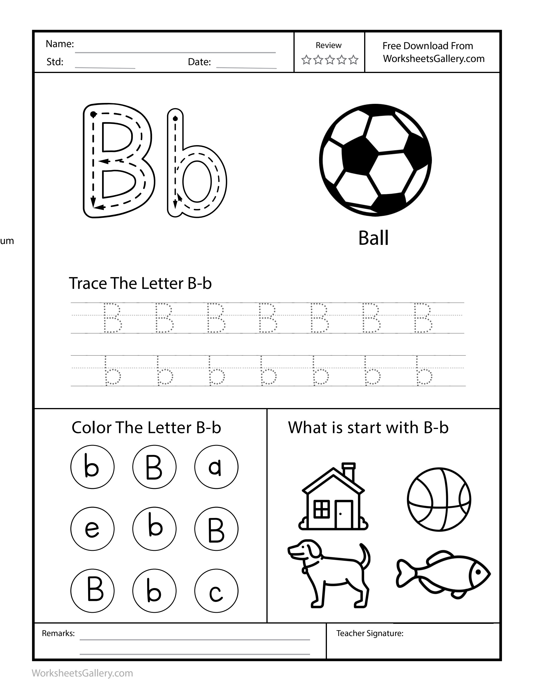 Build Letter B: 7 Powerful Gains for Happy Beginners