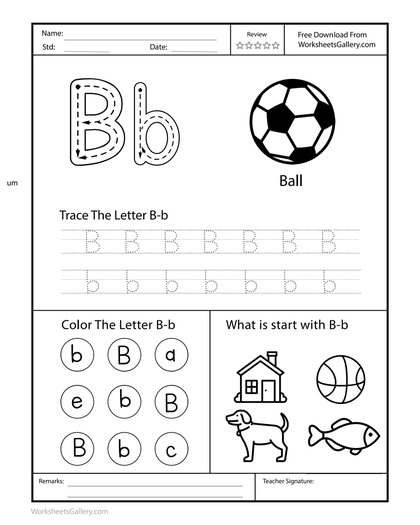 Build Letter B: 7 Powerful Gains for Happy Beginners