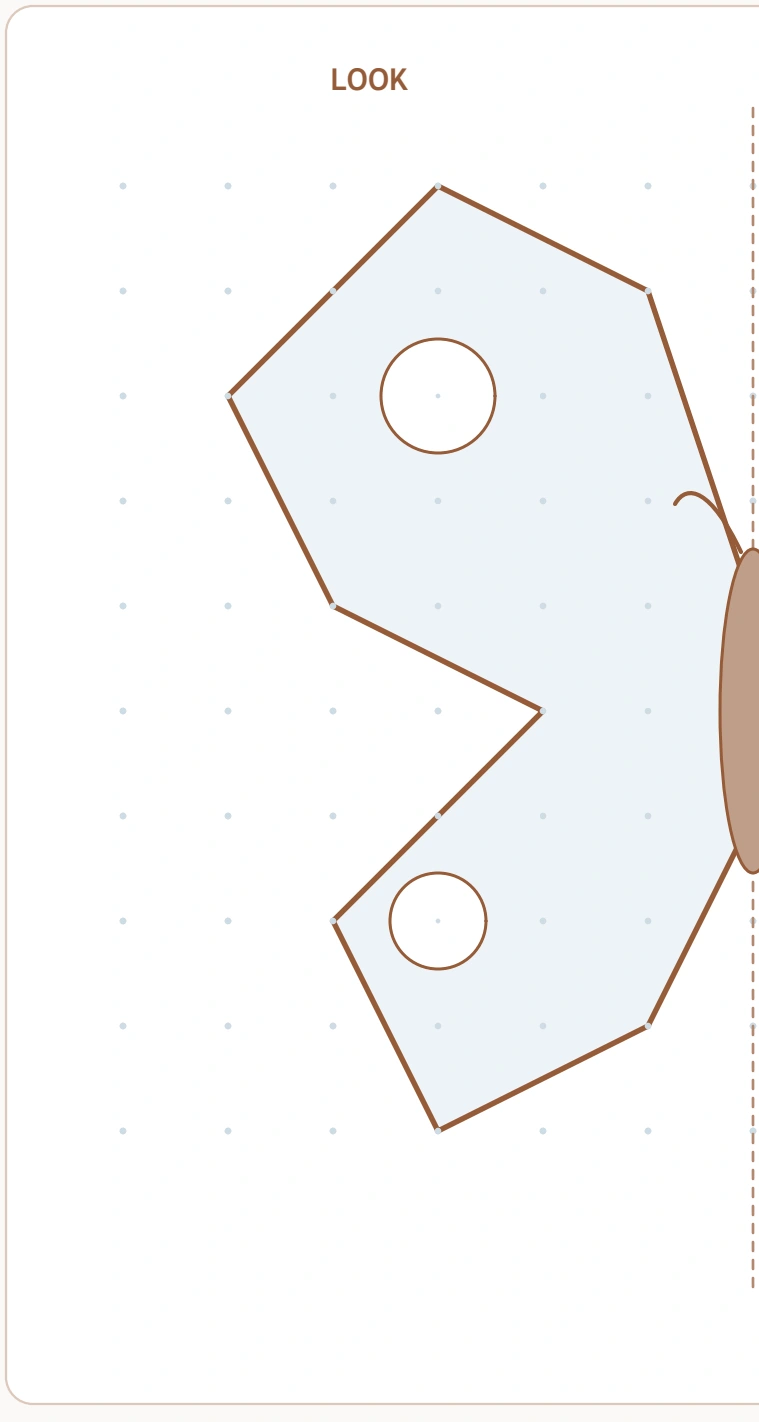 Butterfly Mirror Drawing — left butterfly reference The left wing has an angular outline and two round spots beside the vertical guide.