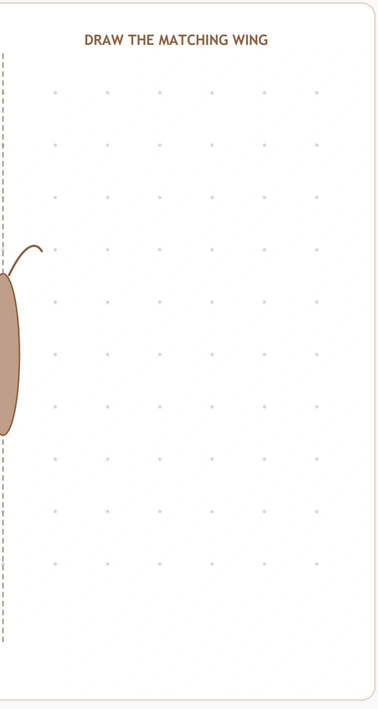 Butterfly Mirror Drawing — right wing drawing field The right half contains guide dots beside the butterfly body and middle line.