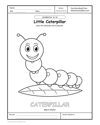 Caterpillar Color Play: 6 Brilliant Segment Stories