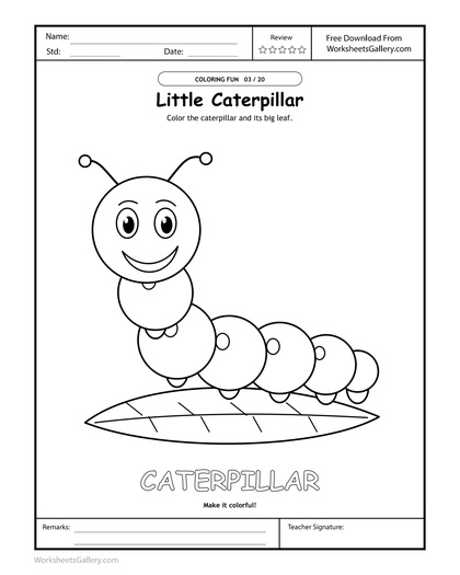 Caterpillar Color Play: 6 Brilliant Segment Stories