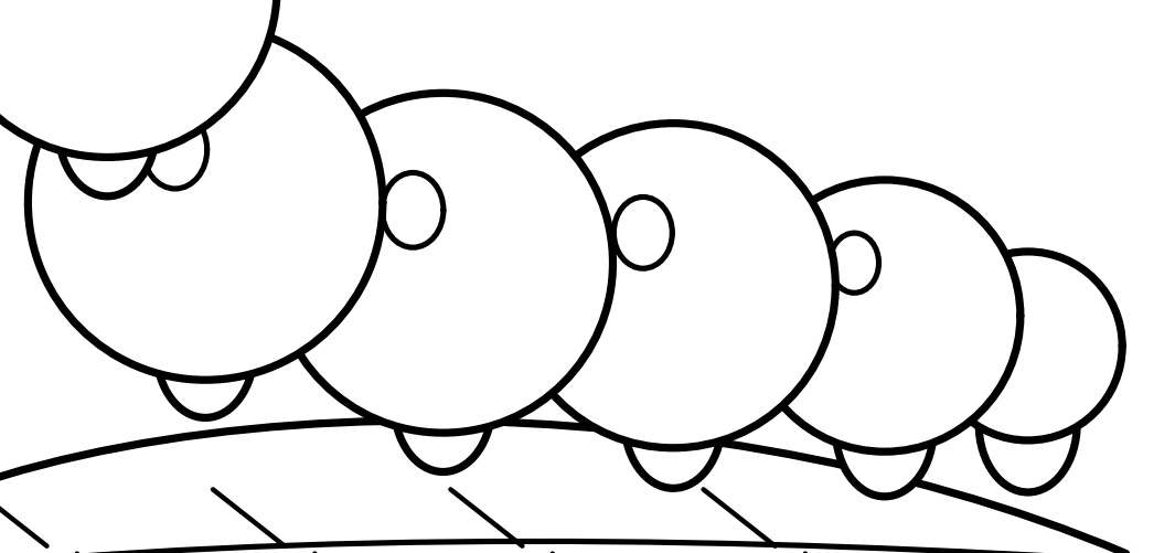A body sequence can follow the artist's rule Rounded caterpillar body sections curving down toward its tail