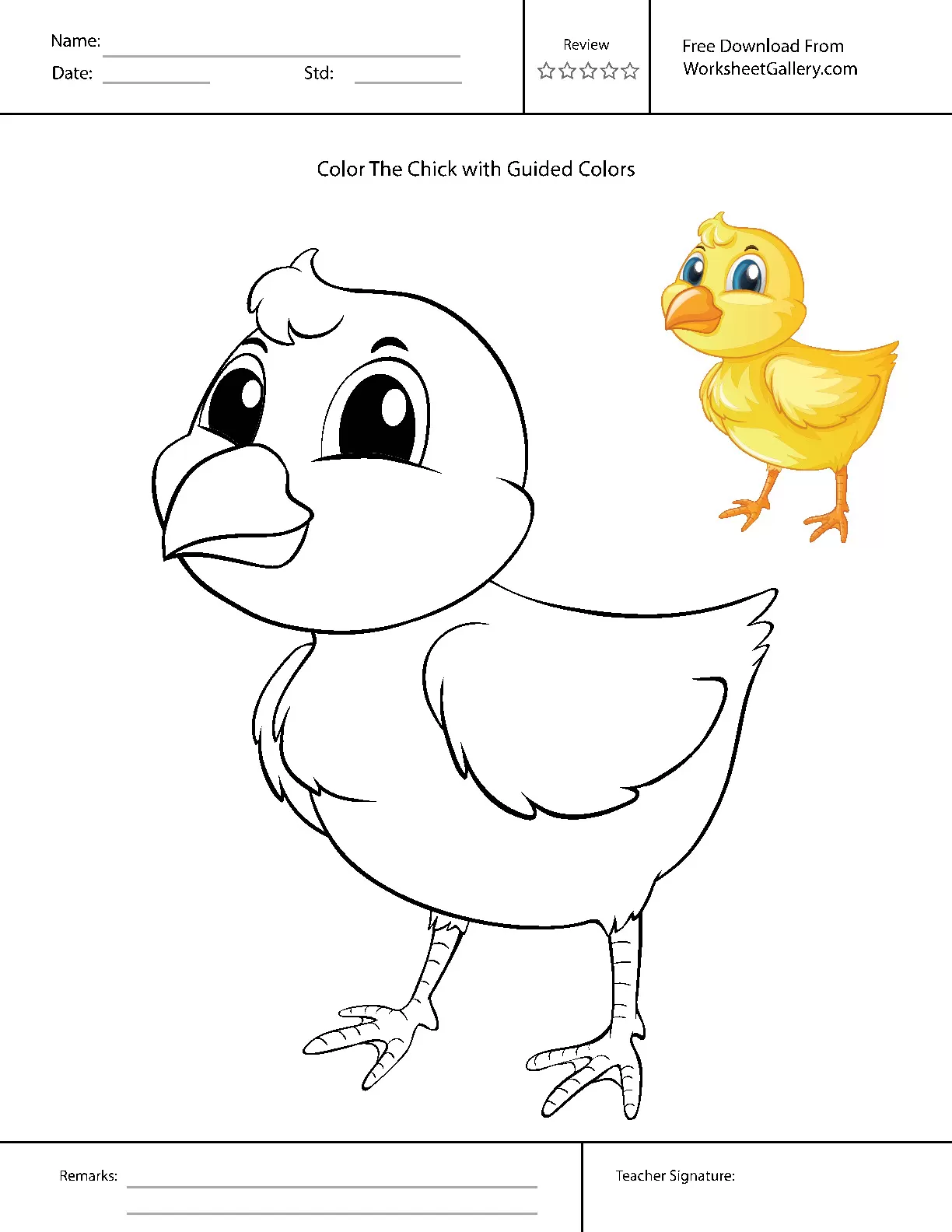 Chick Coloring: 5 Brilliant Moves for Happy Artists
