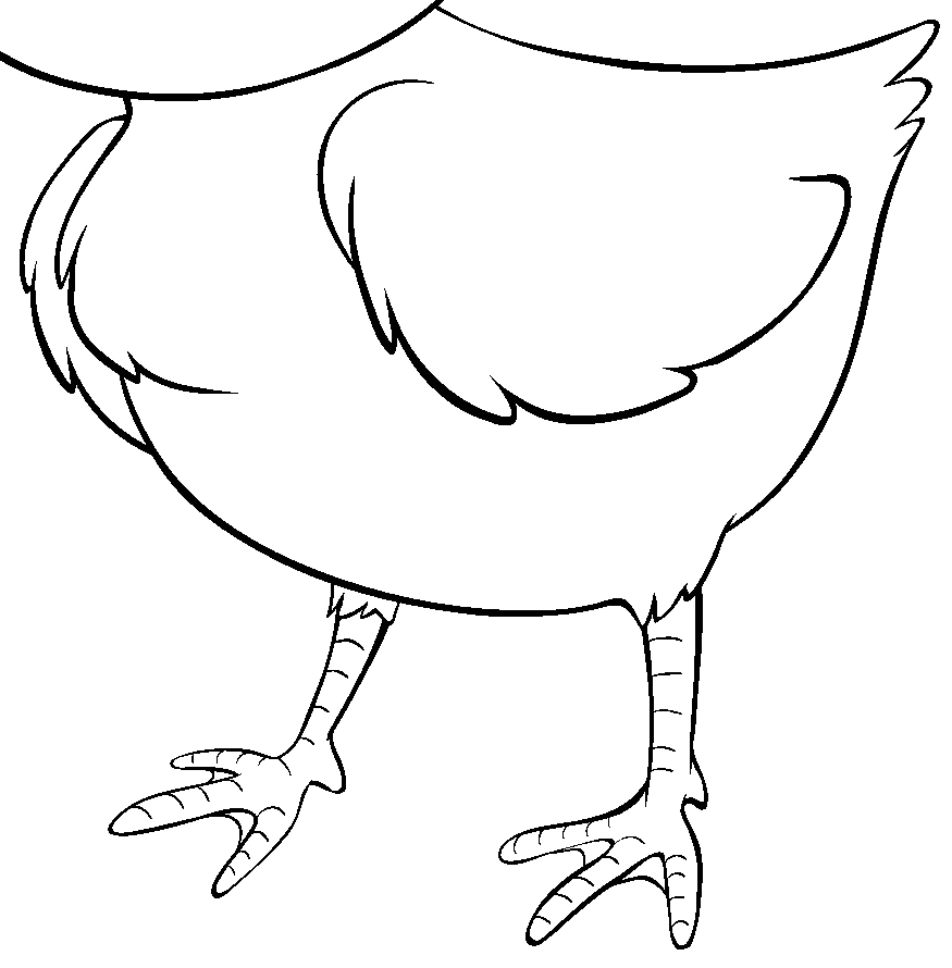 Close-up of the large uncolored chick's broad wing, rounded body, thin legs and pointed toes