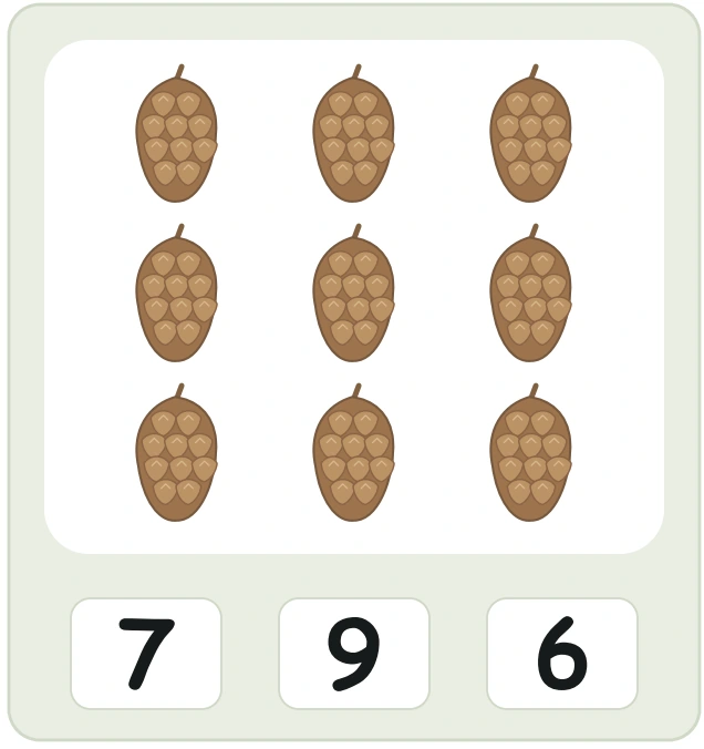 Nine pinecones in a three-by-three grid above the printed choices 7, 9 and 6