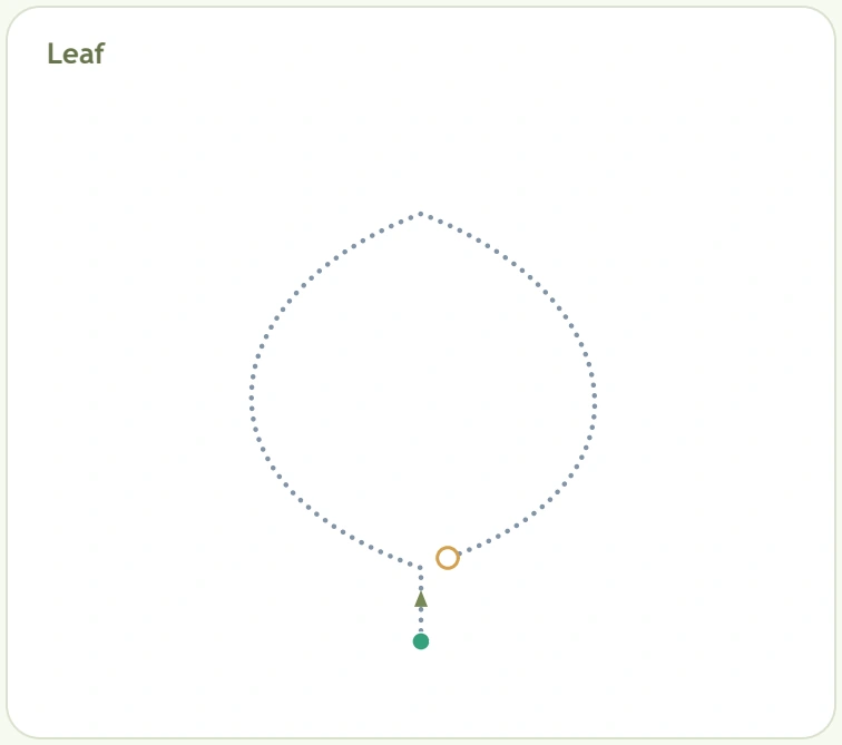Long leaf-shaped dotted path curving back toward the stem and its finish ring