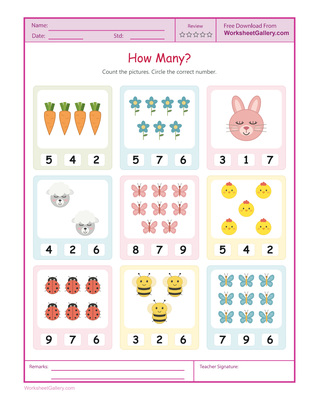 Count and Circle: 5 Brilliant Ways to Check a Choice