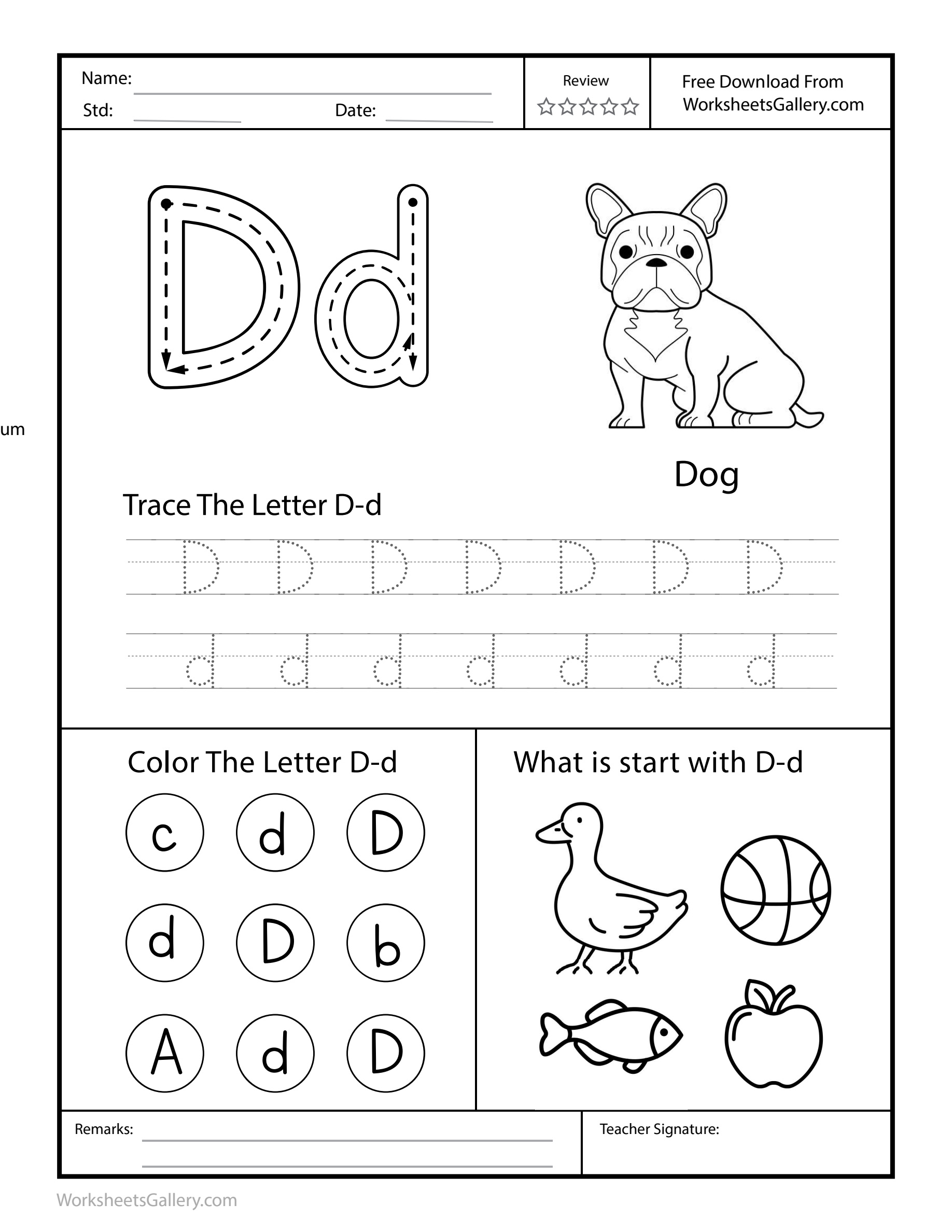 Find Letter D: 6 Remarkable Reasons to Feel Ready
