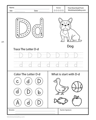 Find Letter D: 6 Remarkable Reasons to Feel Ready