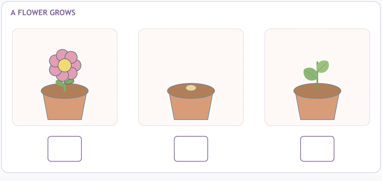 Flower, seed and sprout pictures sit above three response boxes.