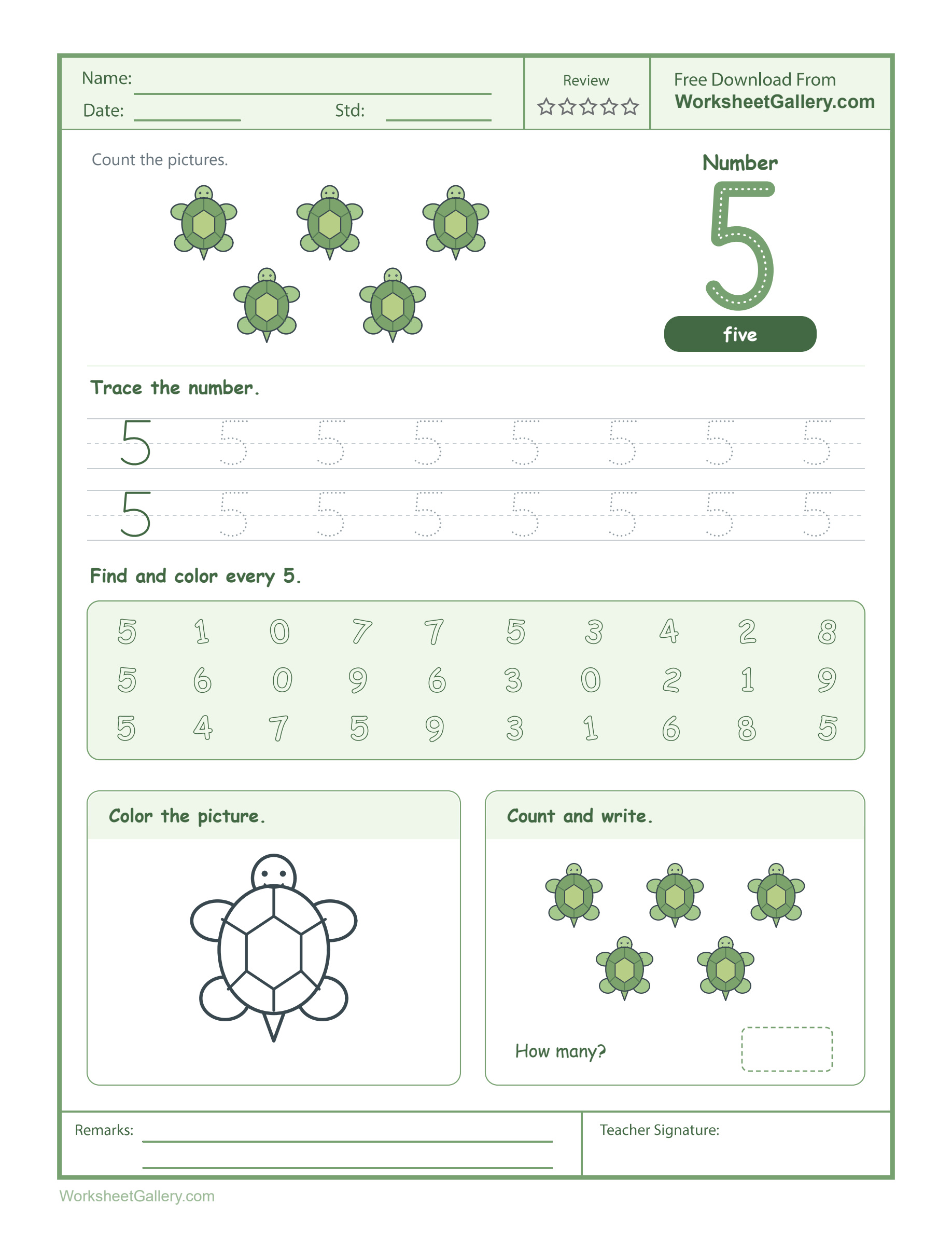 Number 5 Worksheet: 6 Brilliant Turtle Trail Wins