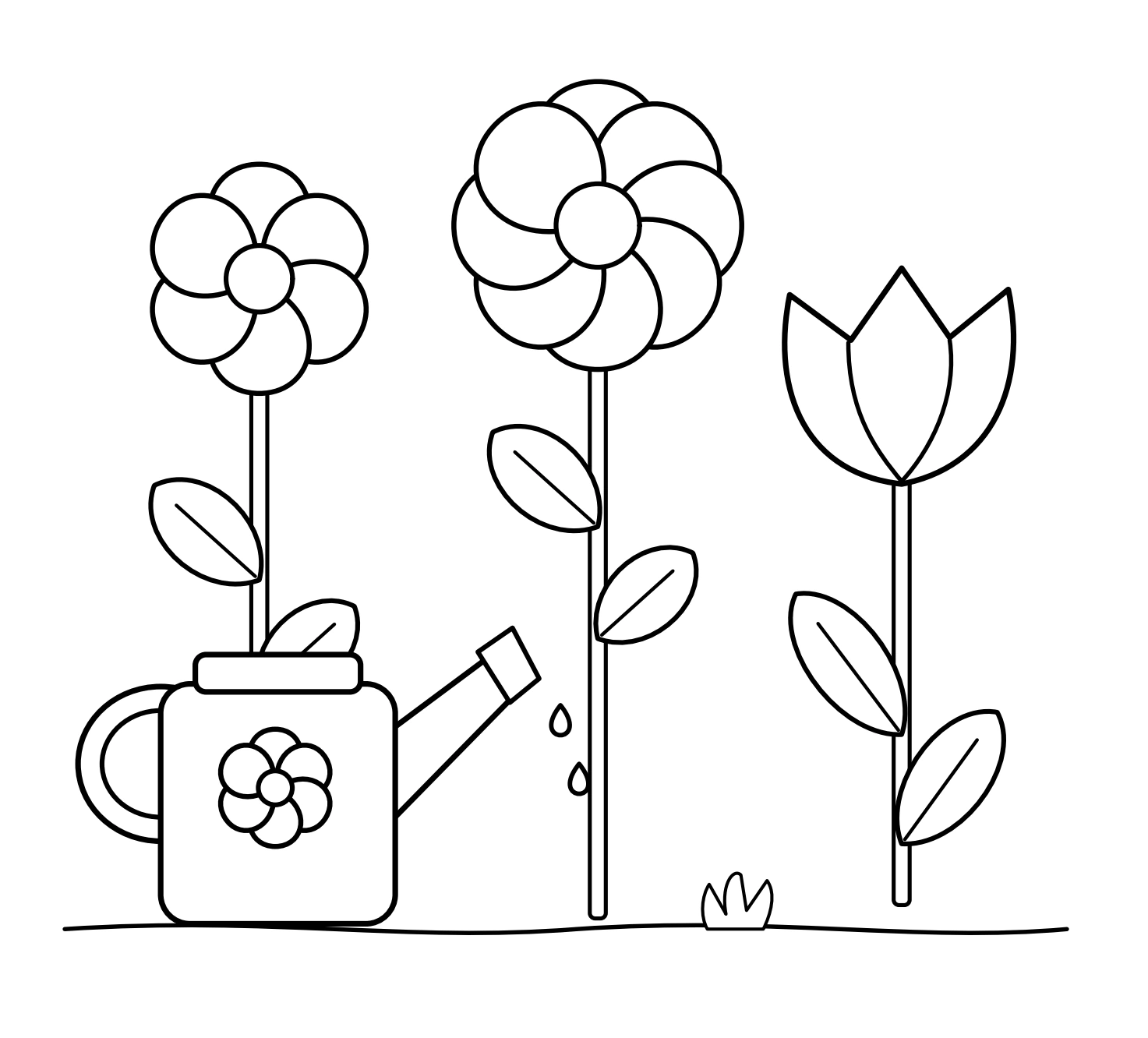 Several flower shapes can share one chosen palette Two rounded flowers and a pointed bloom beside a watering can