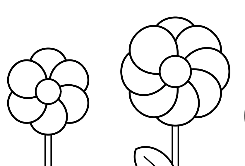 Rounded petals can repeat a color or change it Two round-lobed flower heads with separate centers