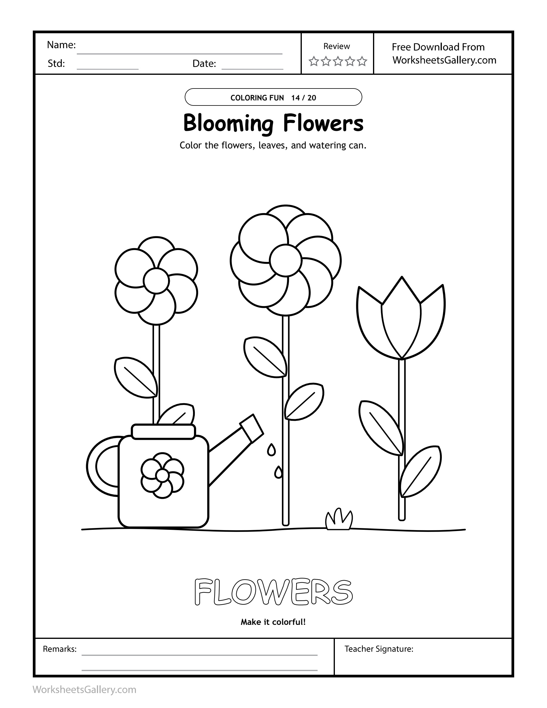 Flower Color Workshop: 4 Wonderful Petal-Pair Games