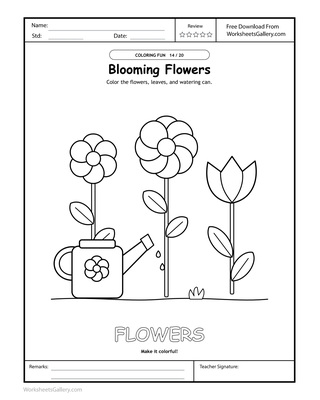 Flower Color Workshop: 4 Wonderful Petal-Pair Games