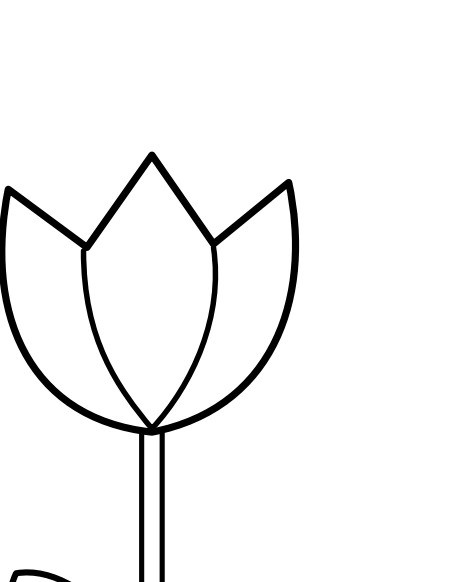 Pointed petals ask for a different edge plan Pointed three-part flower at the right of the garden