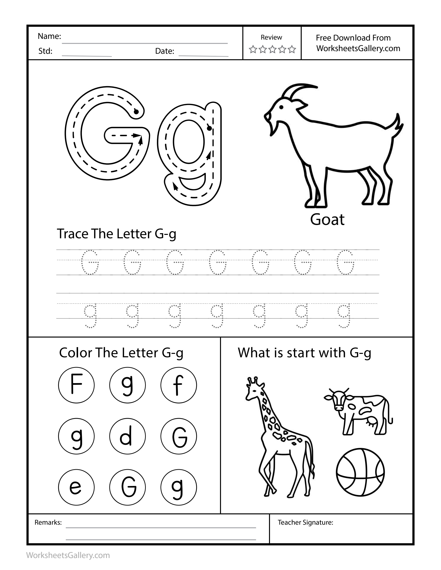 Below the Line: 5 Brilliant Letter G Wins for Kids
