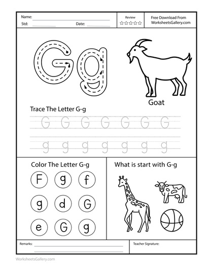 Below the Line: 5 Brilliant Letter G Wins for Kids