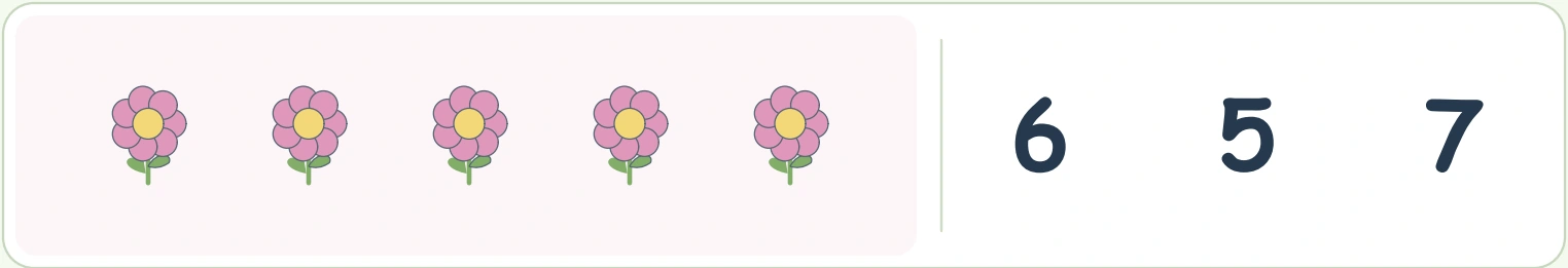 Five pink flower pictures next to the numerals 6, 5 and 7