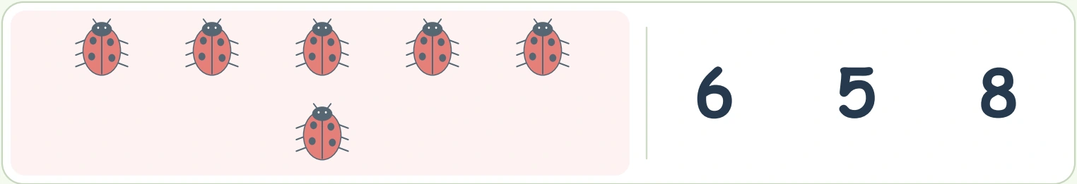 Six spotted ladybug pictures beside the choices 6, 5 and 8