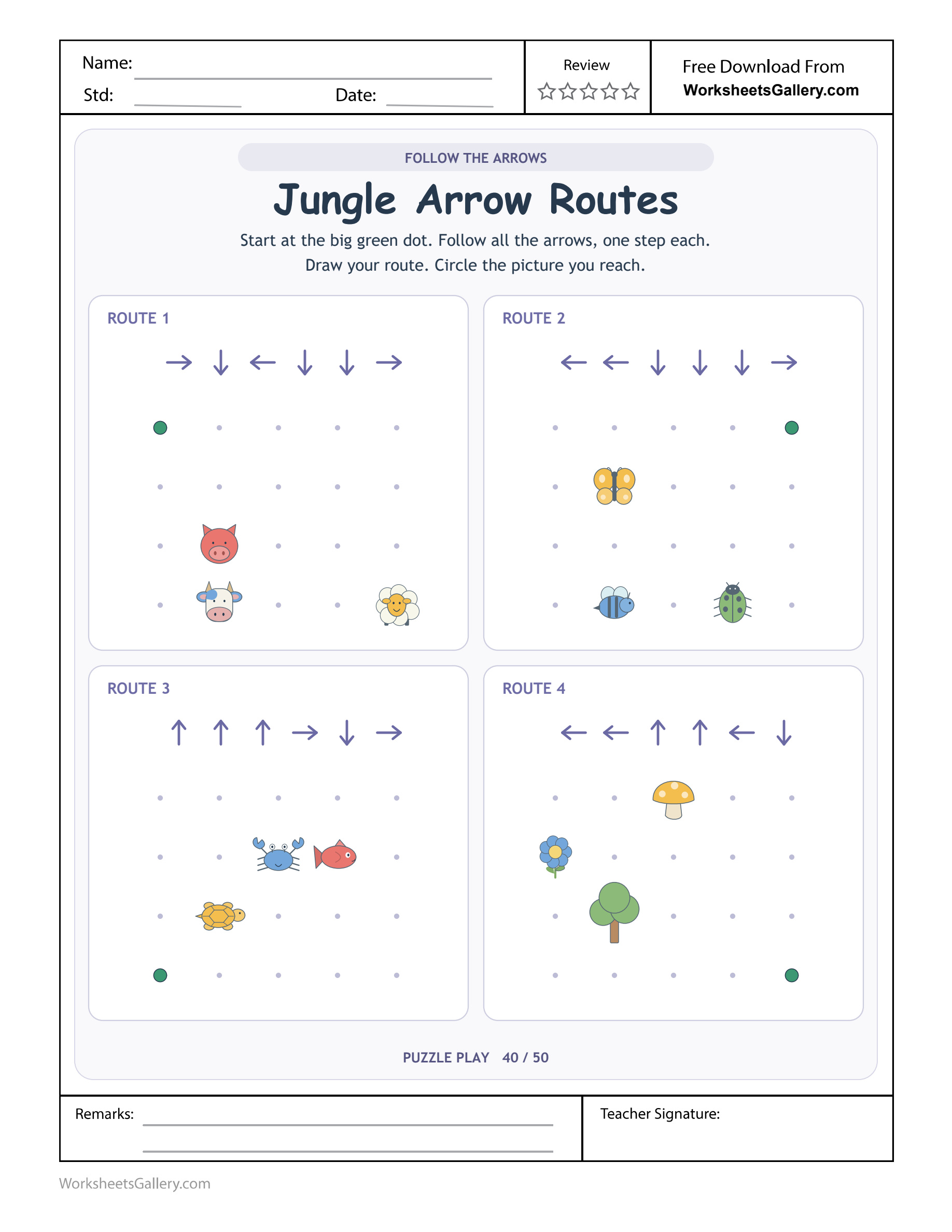 Jungle Route Following: 4 Brilliant Arrow Adventures