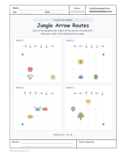 Jungle Route Following: 4 Brilliant Arrow Adventures