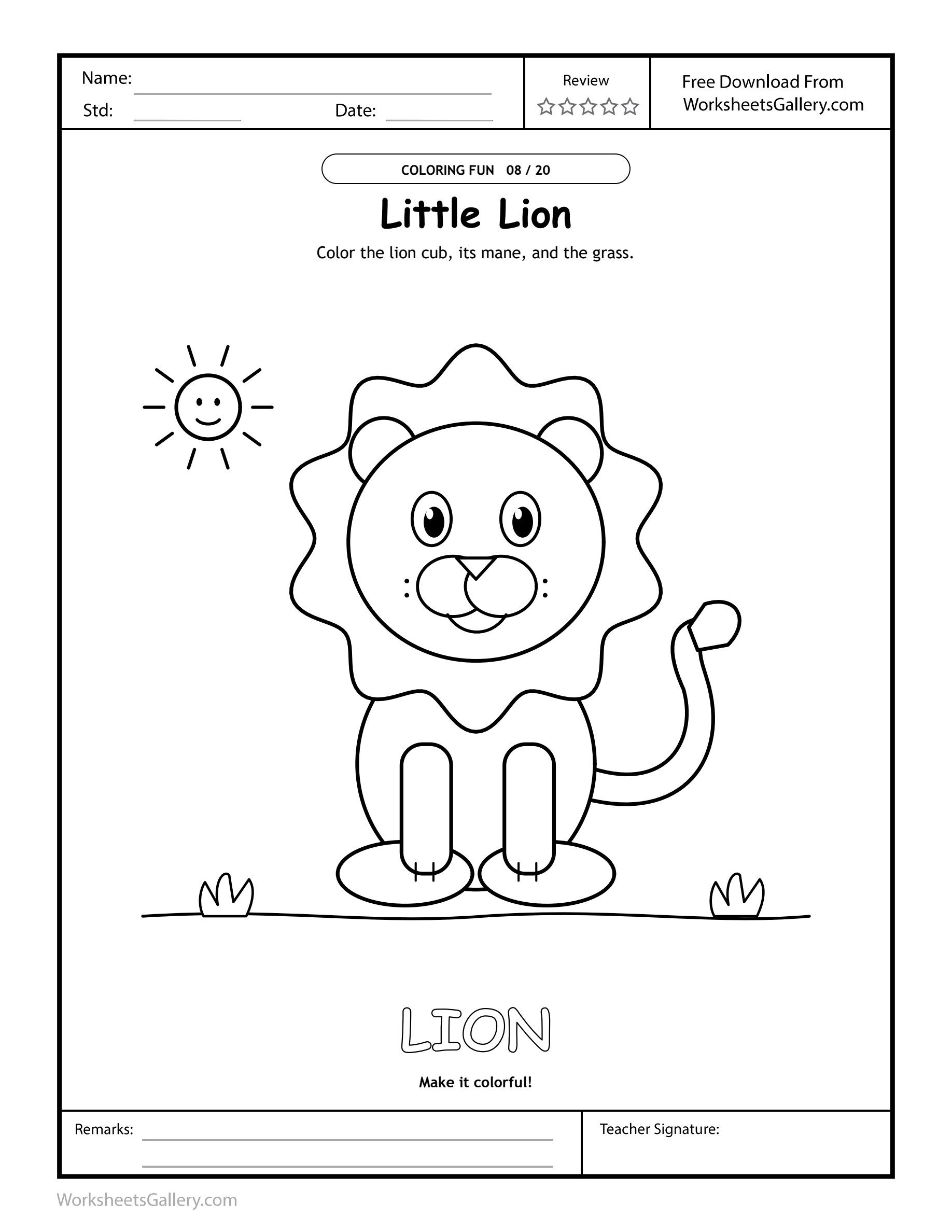 Lion Mane Studio: 4 Powerful Face-and-Frame Ideas