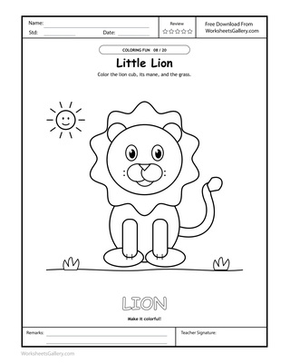 Lion Mane Studio: 4 Powerful Face-and-Frame Ideas