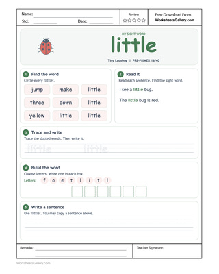 Little Word Study: 5 Brilliant Ladybug-Reading Games