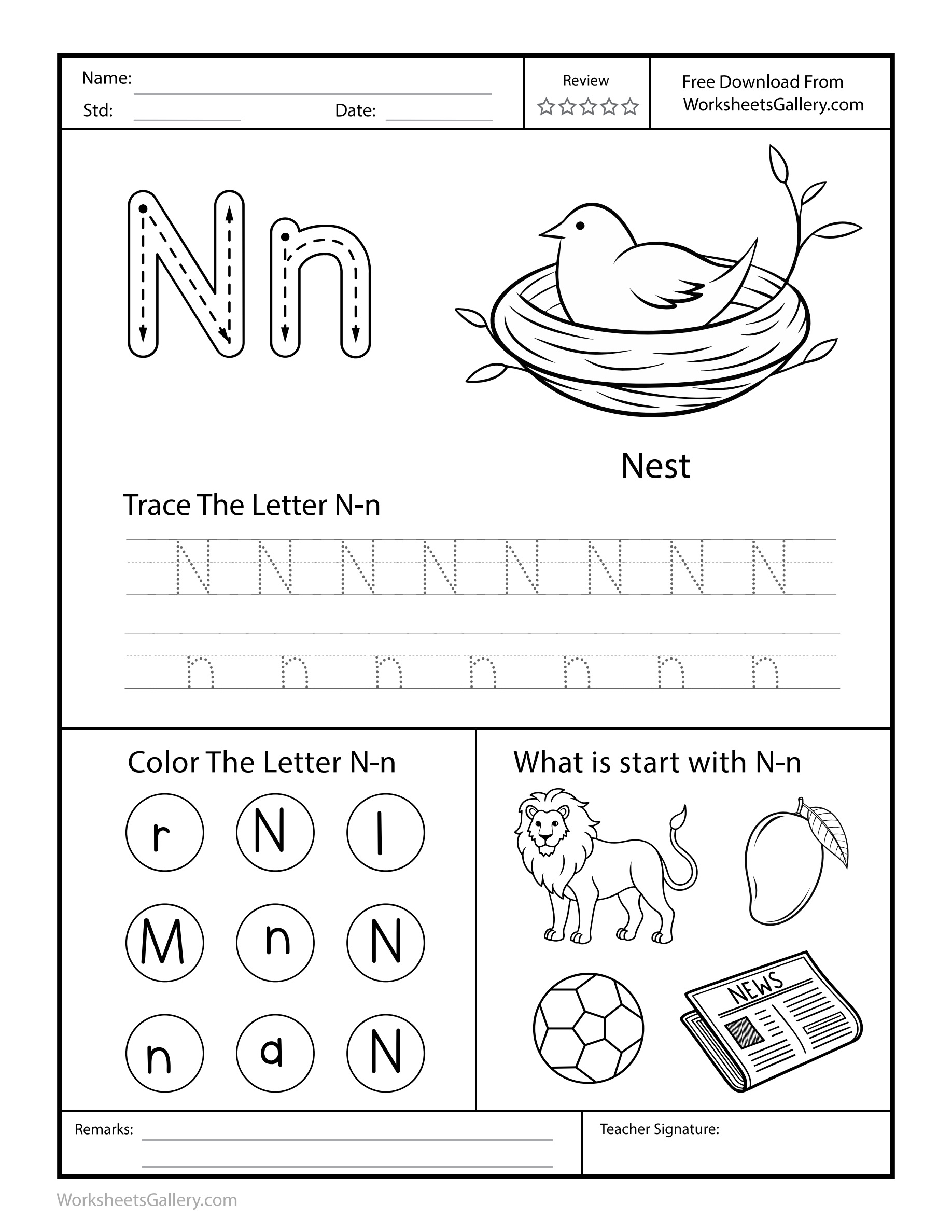 Nest News: 4 Remarkable Letter N Tasks for Happy Kids
