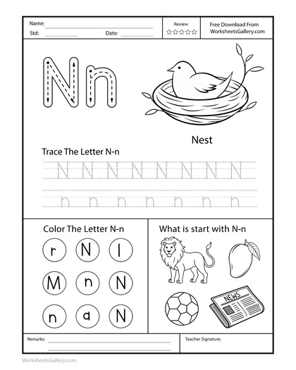 Nest News: 4 Remarkable Letter N Tasks for Happy Kids