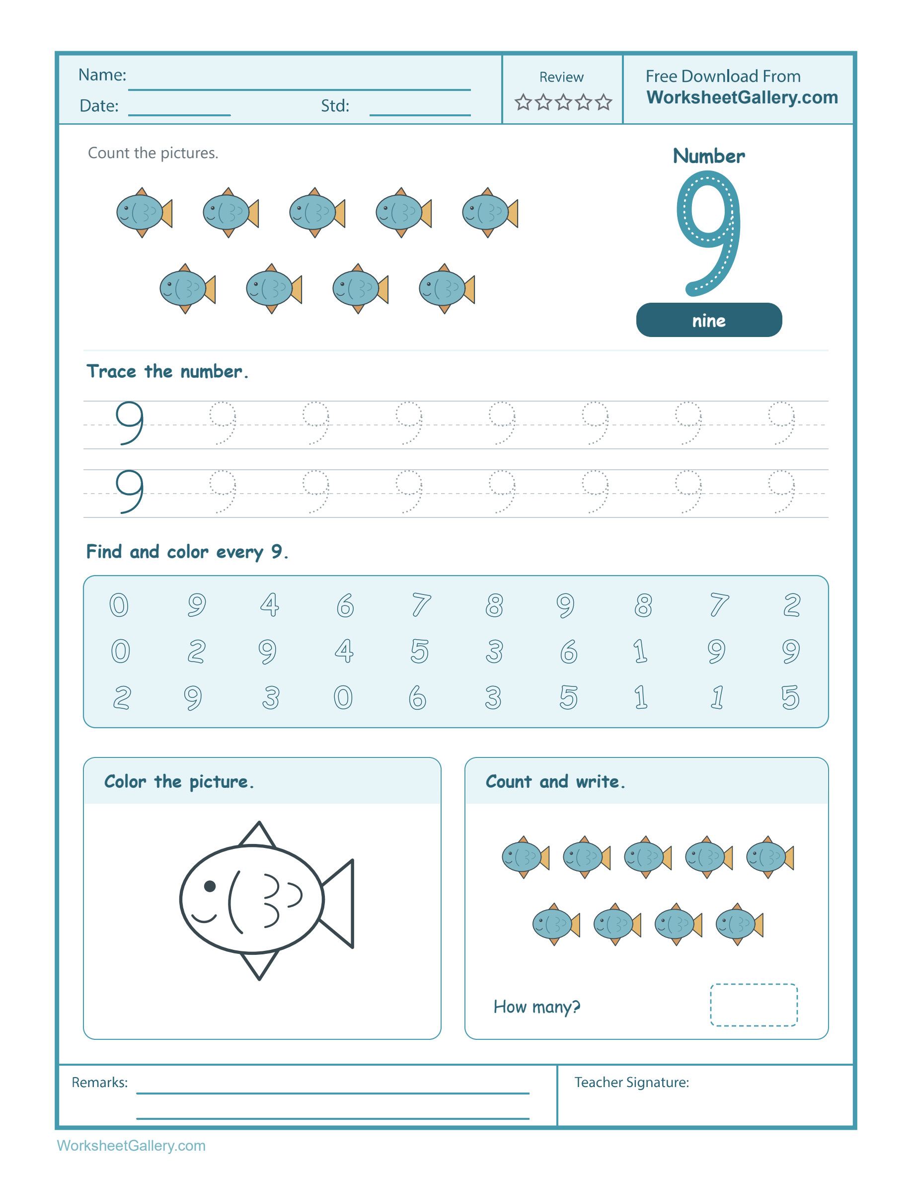Number 9 Worksheet: 4 Brilliant Fish Survey Adventures