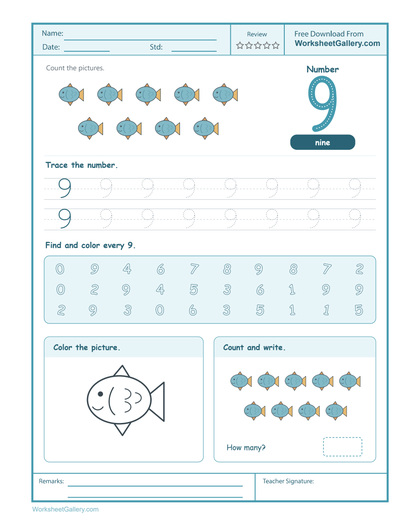 Number 9 Worksheet: 4 Brilliant Fish Survey Adventures