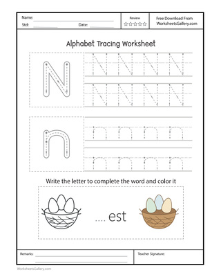 Nn Worksheet: 6 Wonderful Nest Note Discoveries