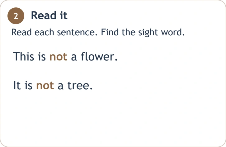 This is not a flower and It is not a tree source lines