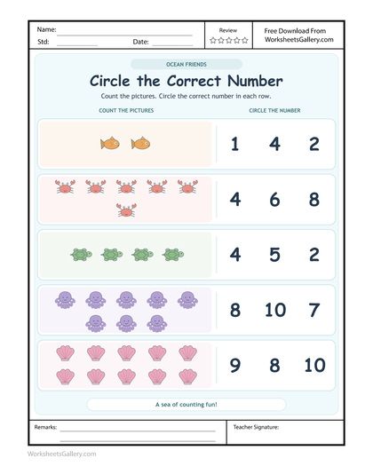 Ocean Count Match: 4 Wonderful Ways to Hold a Total