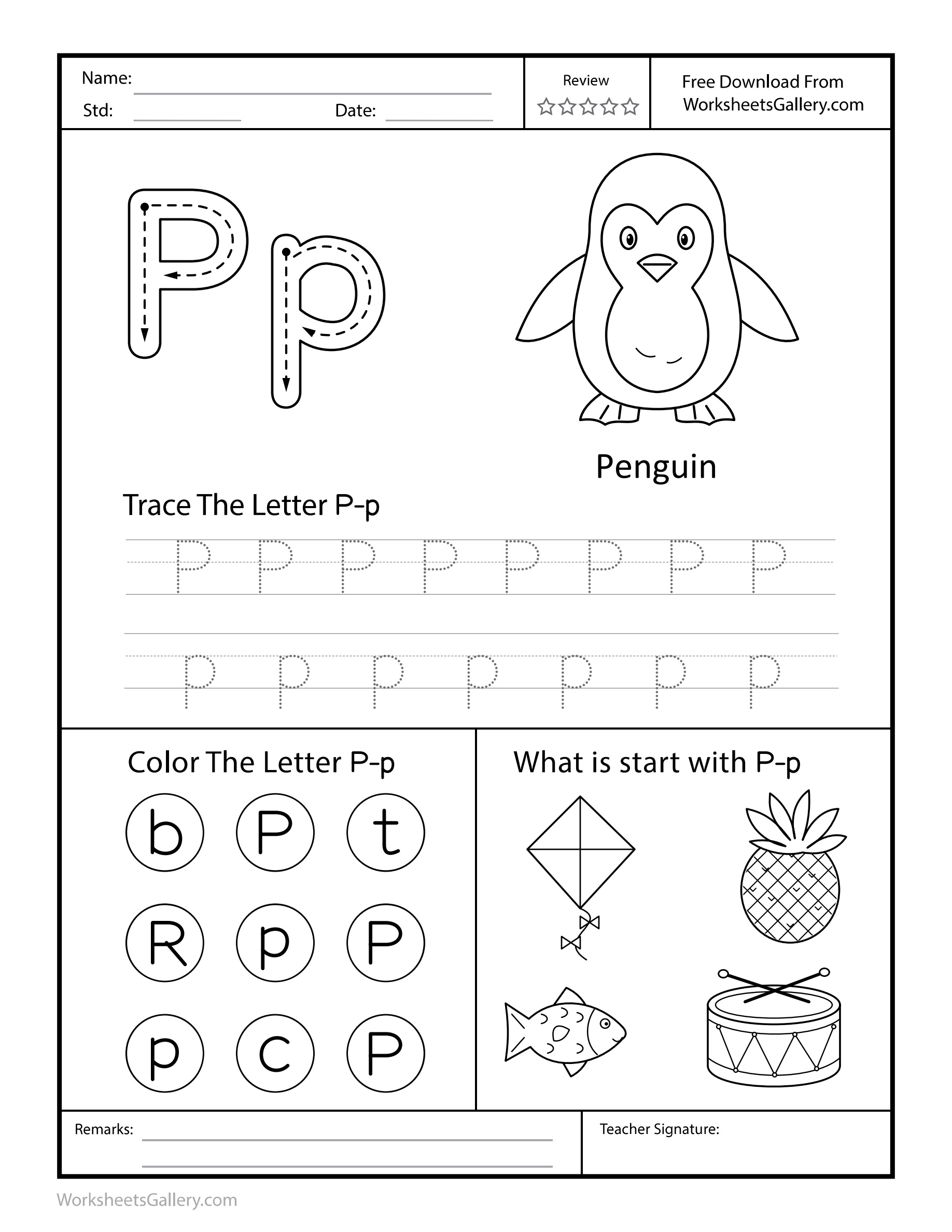 Penguin Post: 6 Brilliant Letter P Tasks for Joyful Kids