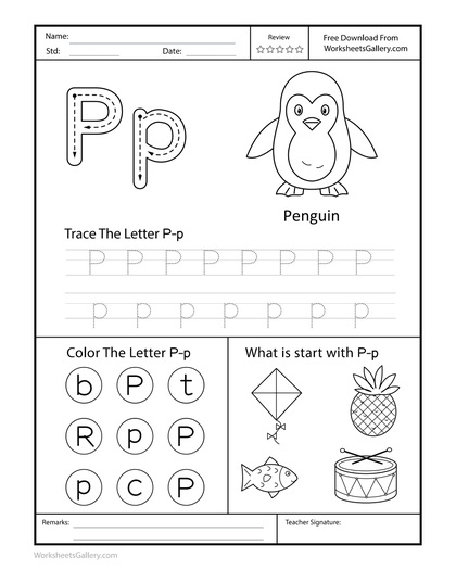 Penguin Post: 6 Brilliant Letter P Tasks for Joyful Kids
