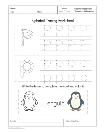 Pp Worksheet: 5 Powerful Penguin Post Pocket Games