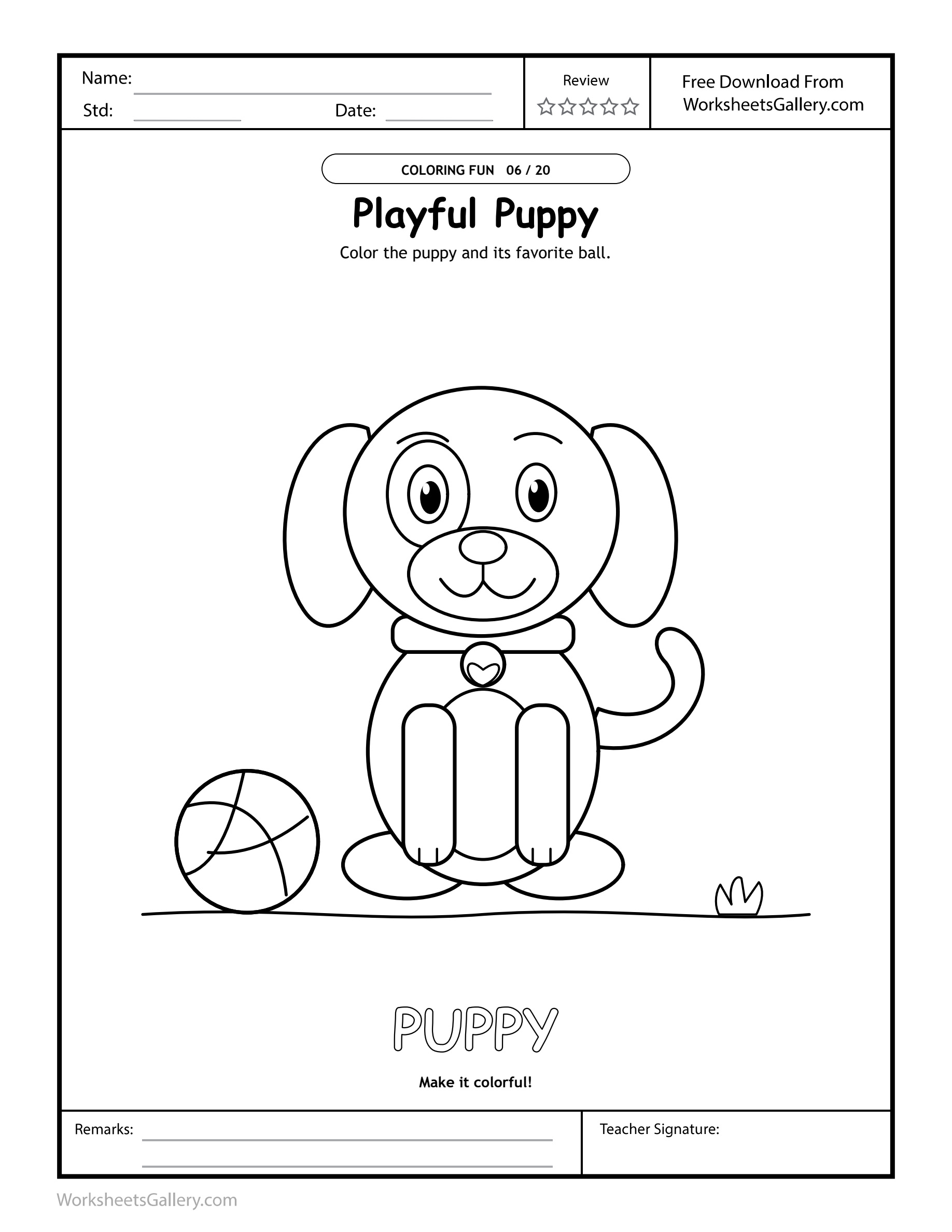 Puppy Palette Play: 6 Wonderful Ball-and-Collar Ideas